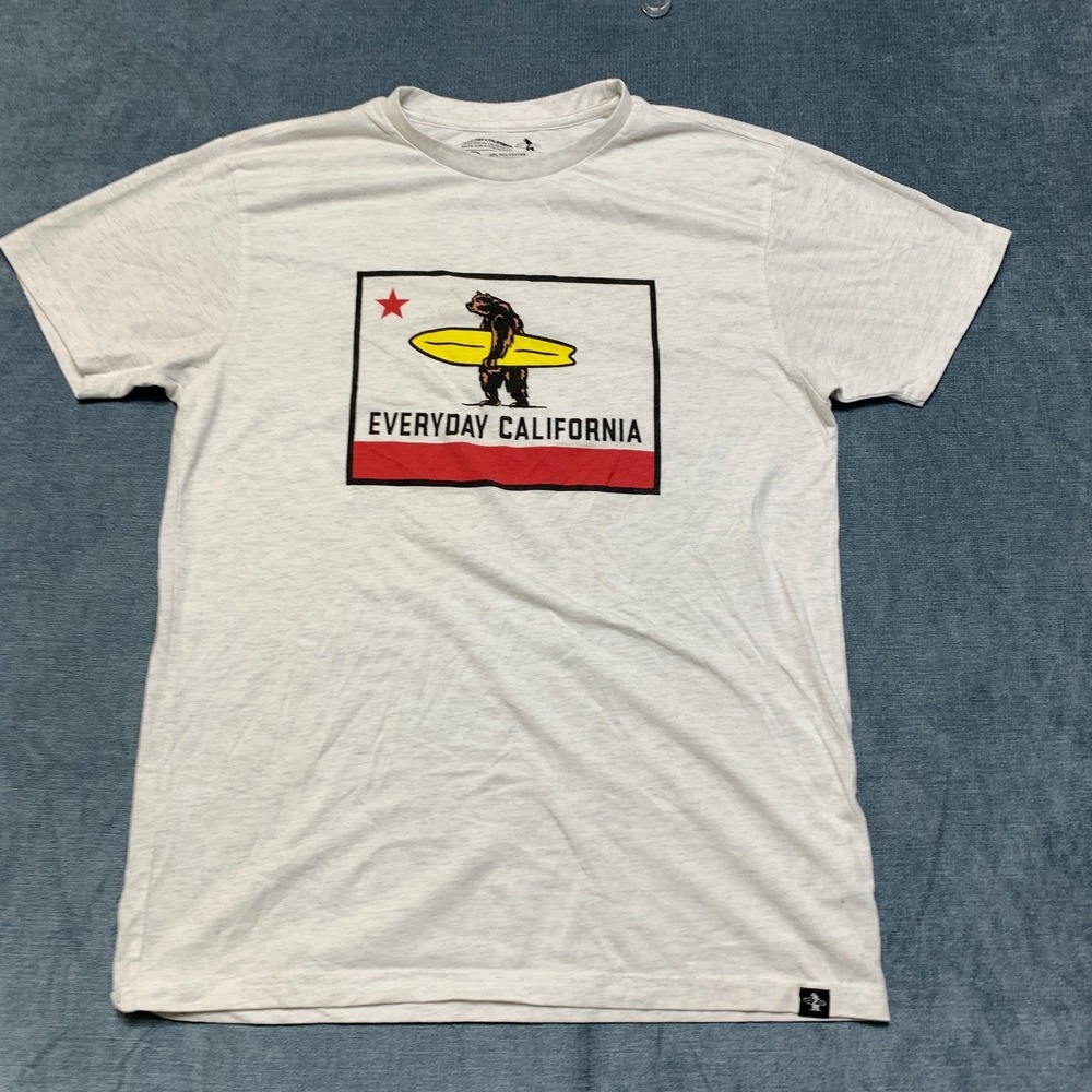 Everyday California T Shirt Mens Medium Gray Graphic Print Short Sleeve Summer